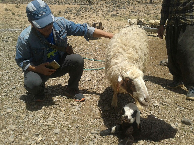 Amoo Ghodrat Nomadic Ecolodge
