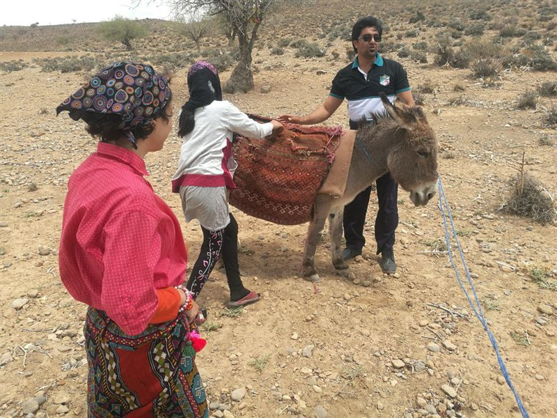 Amoo Ghodrat Nomadic Ecolodge