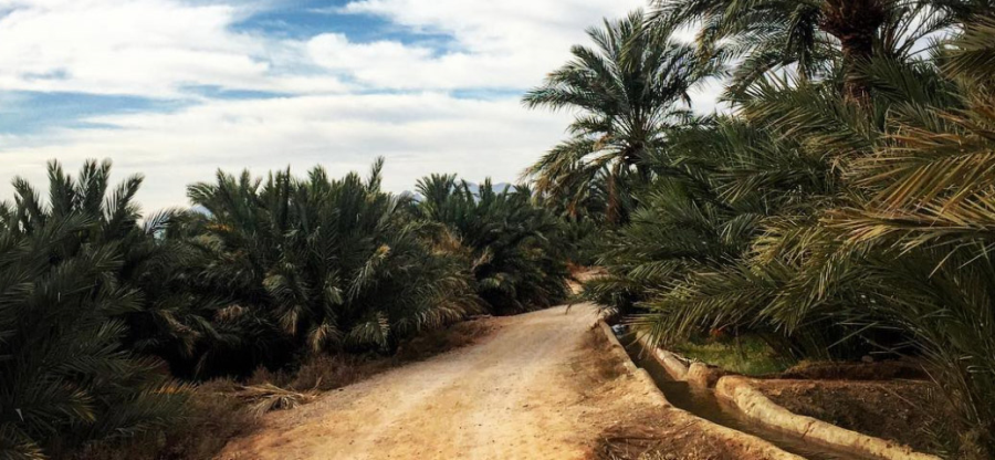 Ateshooni Hostel in Garmeh