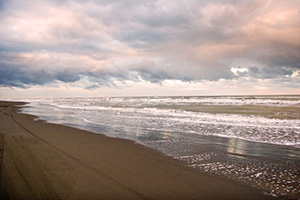 Caspian Sea Nature Tours