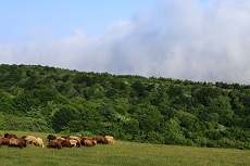 Gilan Tourist Attraction