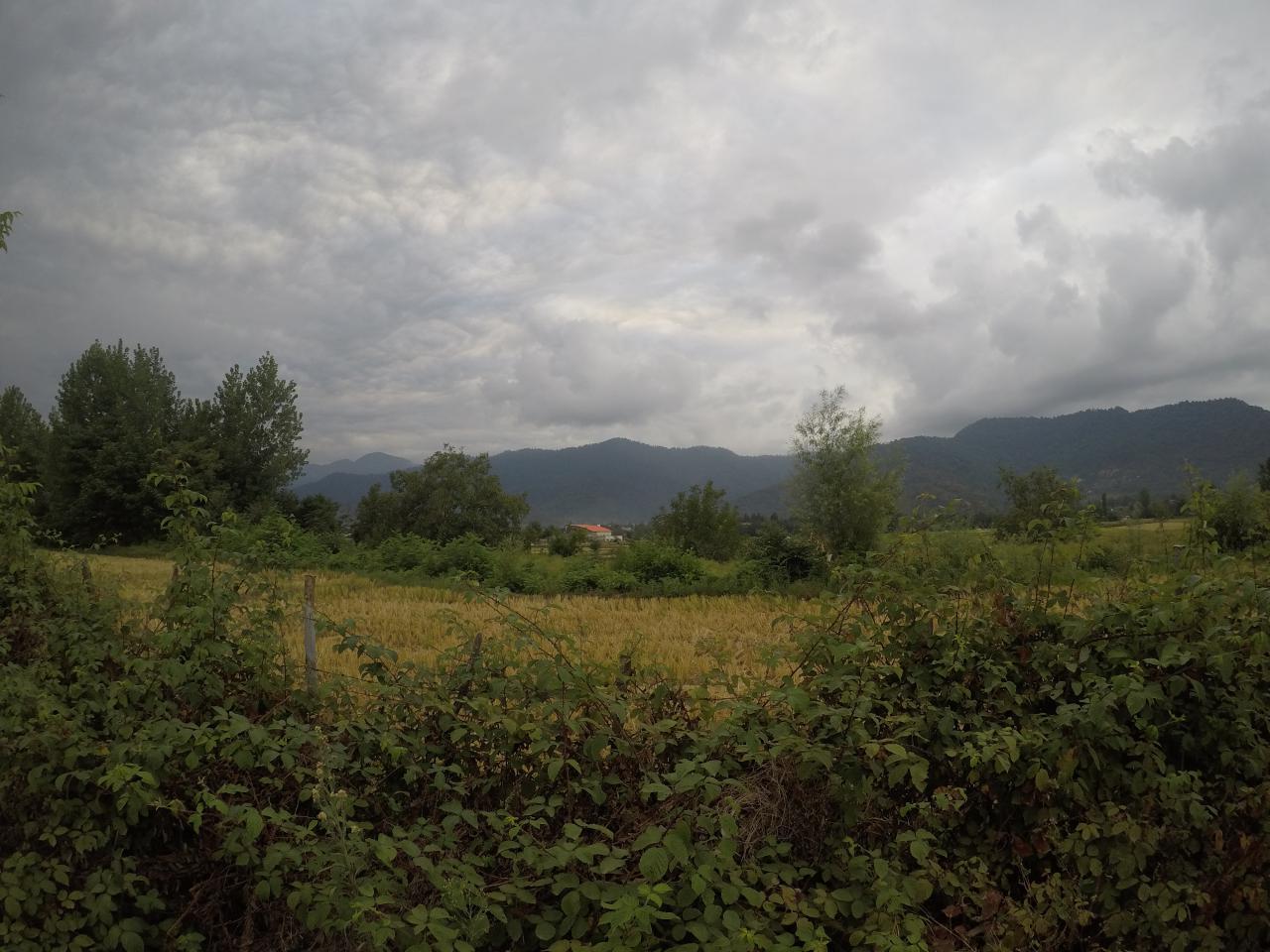 Gilan