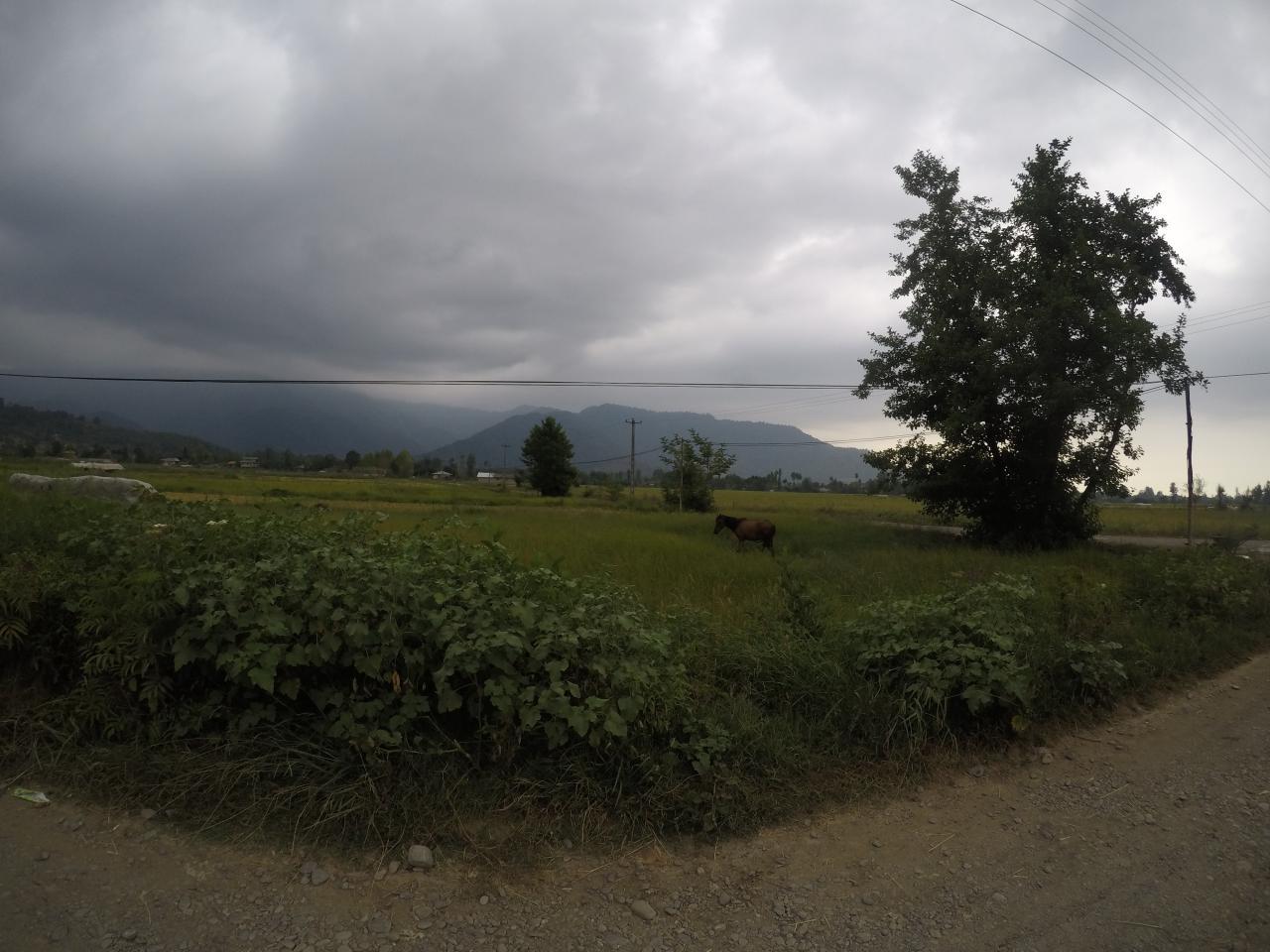 Gilan