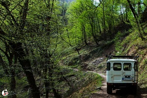 Gilan