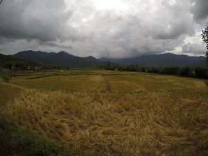 Gilan