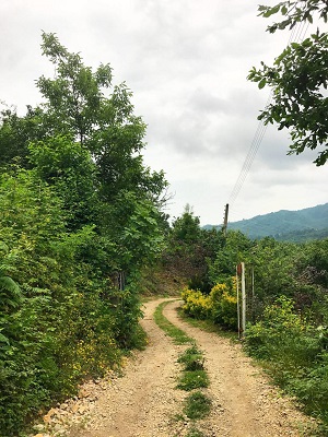 Gilan