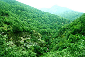 Gilan Tours