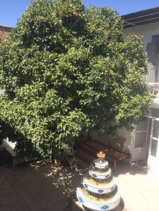 Golshan Traditional Hostel in Shiraz
