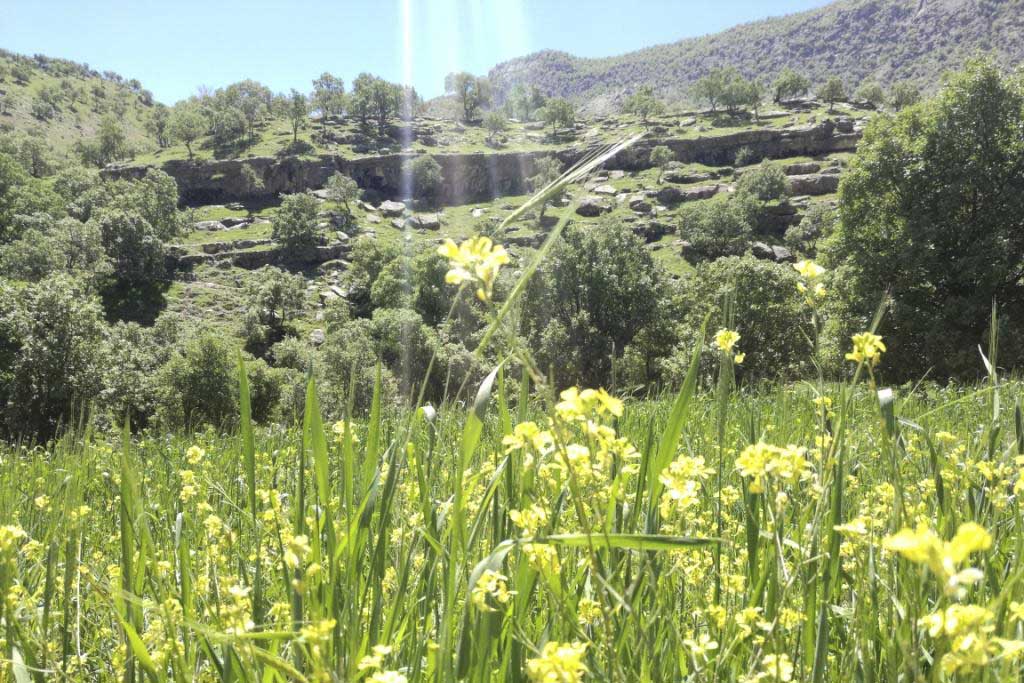 Ilam