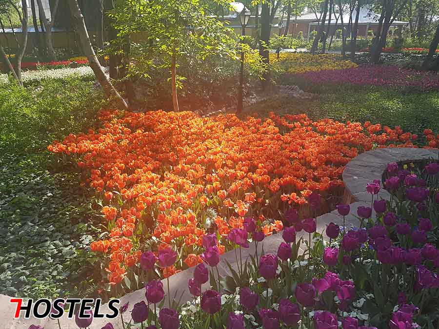 Persian Gardens