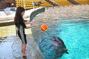 Kish tourist attractions