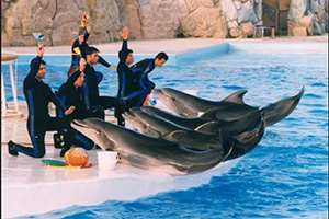 Kish tourist attractions