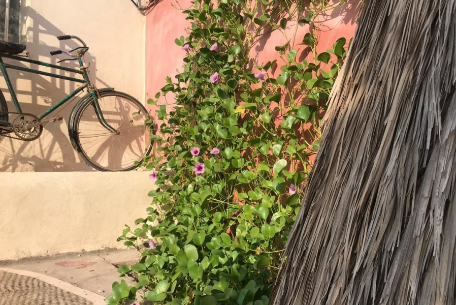 Konaar Guesthouse in Hormuz Island