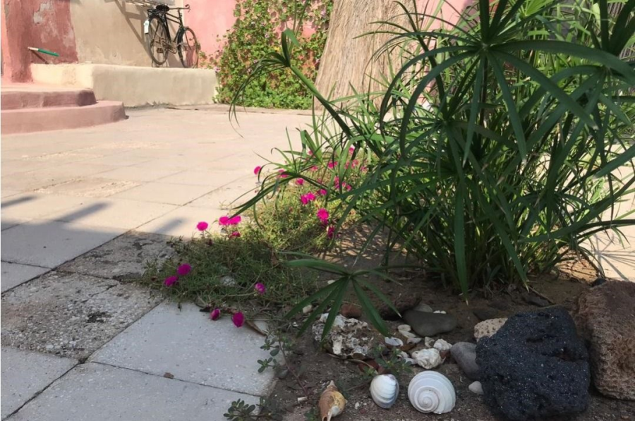 Konaar Guesthouse in Hormuz Island