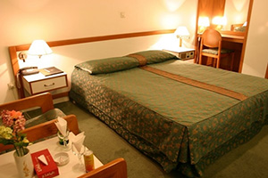 Sarein International Laleh Hotel