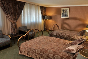 Laleh International Hotel in Tehran