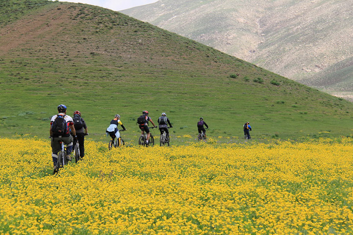 Lar National Park