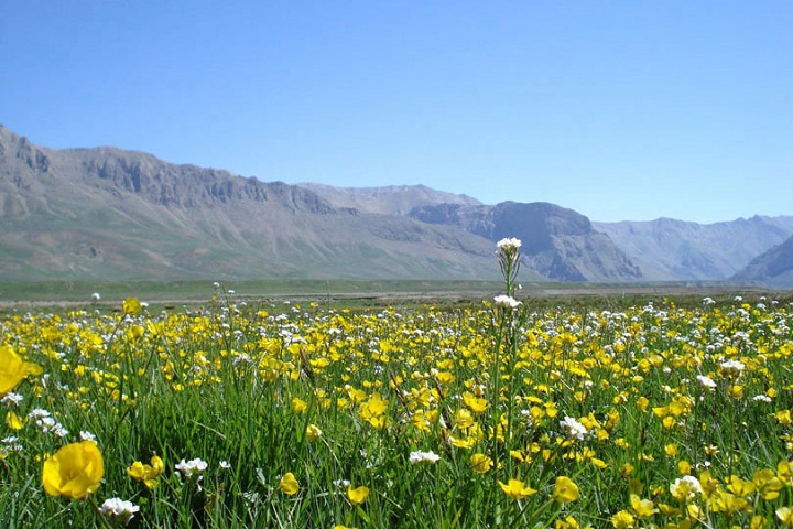 Lar National Park