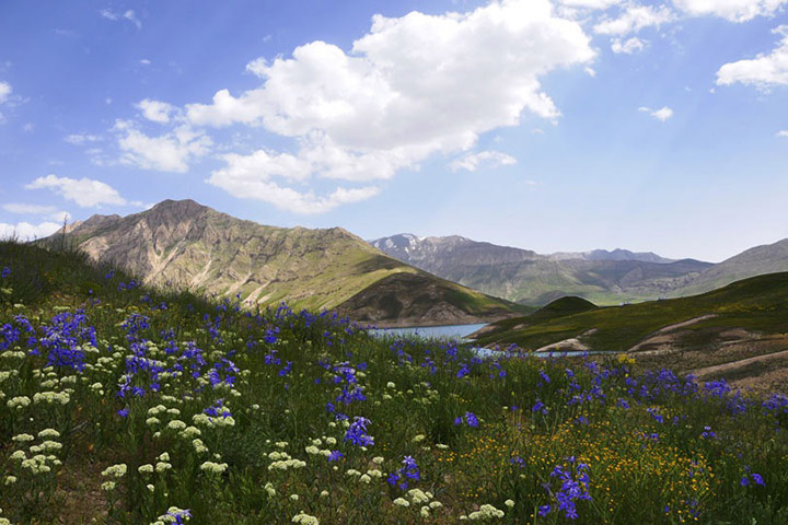 Lar National Park