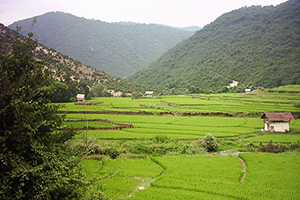 Mazandaran