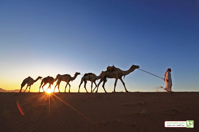 Mesr Village