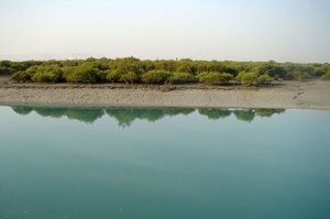 Qeshm Island