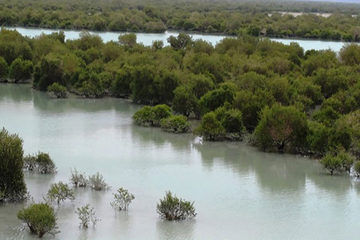 Qeshm Island