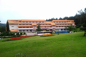 Salardare Jungle Hotel