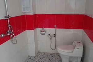 Silver Guesthouse in Yazd