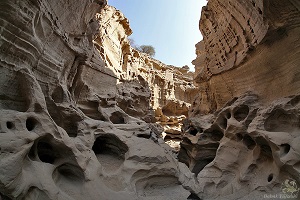 Qeshm Day Tour