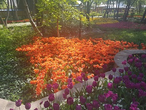 Tehran Tours