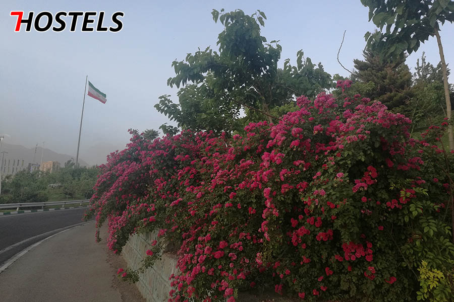 Tehran Iran
