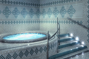 Zandiyeh Hotel Amenities 