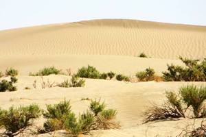 qom desert tours